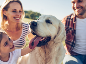 Choosing a Family-Friendly Pet Breed